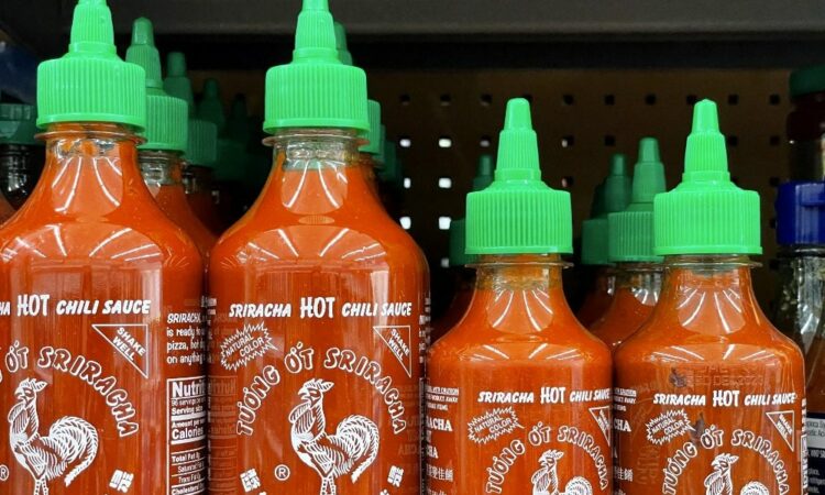 Bouteilles de sauce sriracha de différentes tailles