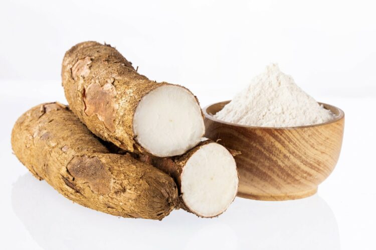 manioc sur fond blanc