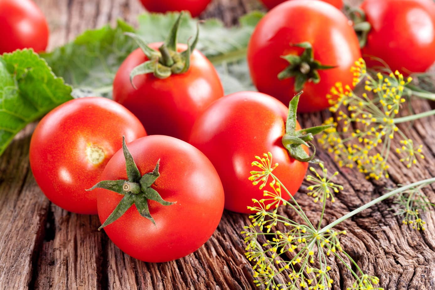 tomates sur fond de bois