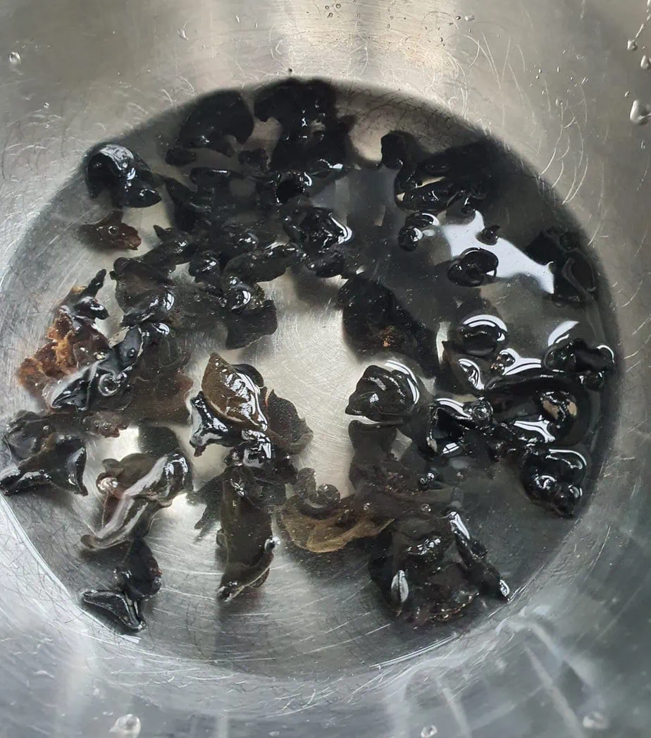 champignons noirs en train de réhydrater dans un bol d'eau