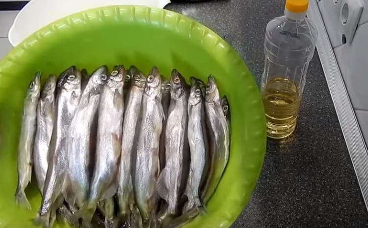 poissons capelan dans une passoire verte