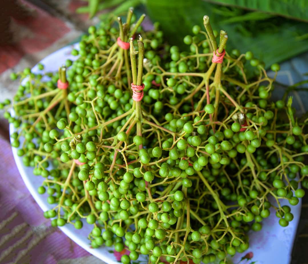 poivre du sichuan frais vendu sur le marché