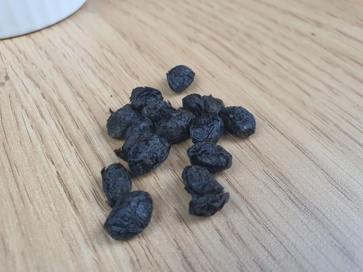 haricots noirs fermentés chinoissur fond de bous