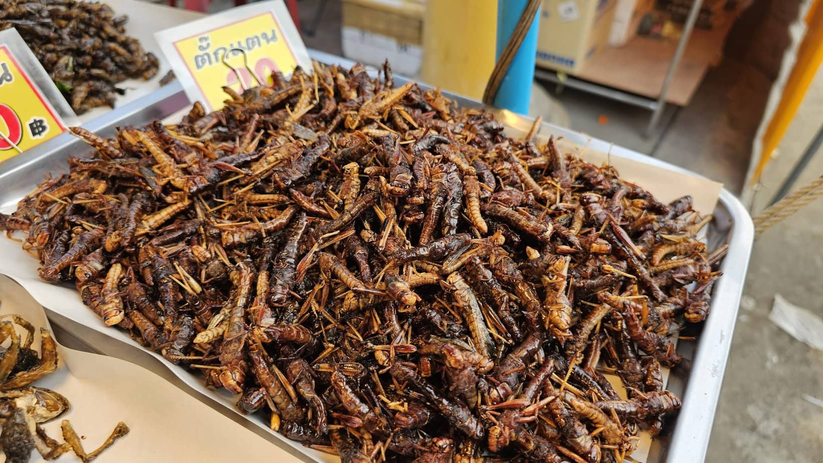 Sauterelles frites thaïlandaises sur un étal d'un marché de Patong