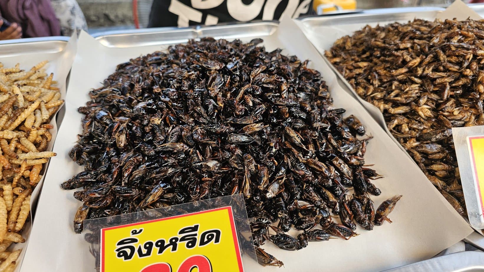 mini grillons thaïlandais sur un étal de night market