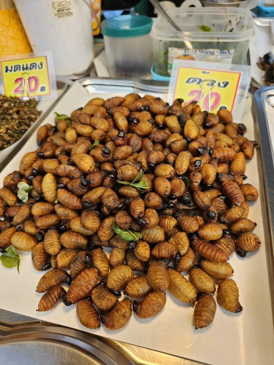 larves de sagou thaï sur un étal de marché nocturnes