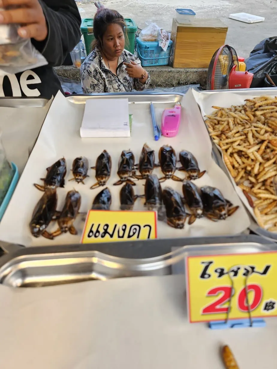 punaises d'eau géantes sur un étal de marché thaïlandais