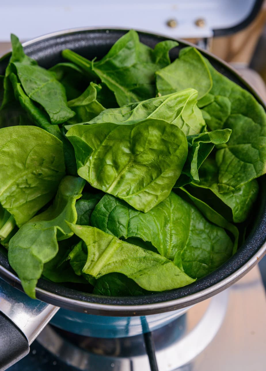 Compra semillas de planta de yute de espinaca egipcia – Corchorus Olitorius  (Molokhia, Ewedu, Yute), image size:924x1285