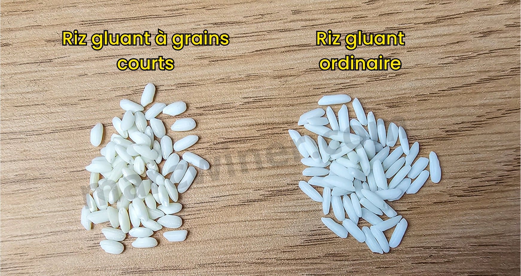 Comparaison riz gluant grains courts et longs sur une planche en bois