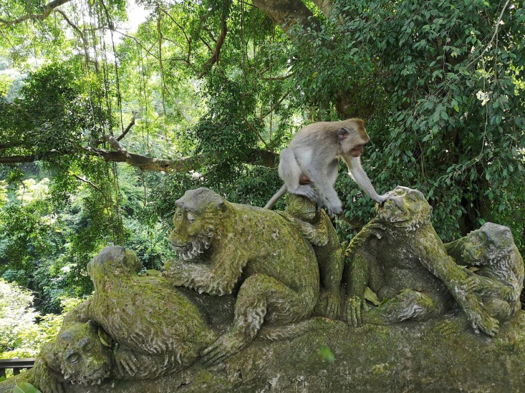 Sacred Monkey Forest Sanctuary, قرد مكاك على تمثال يغطيه الطحلب, أوبود