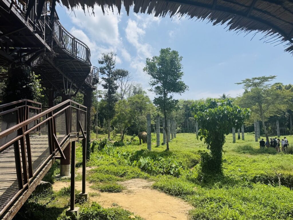 زيارة بوكيت Phuket Elephant Sanctuary, الممر المرتفع فوق منطقة الفيلة, بوكيت