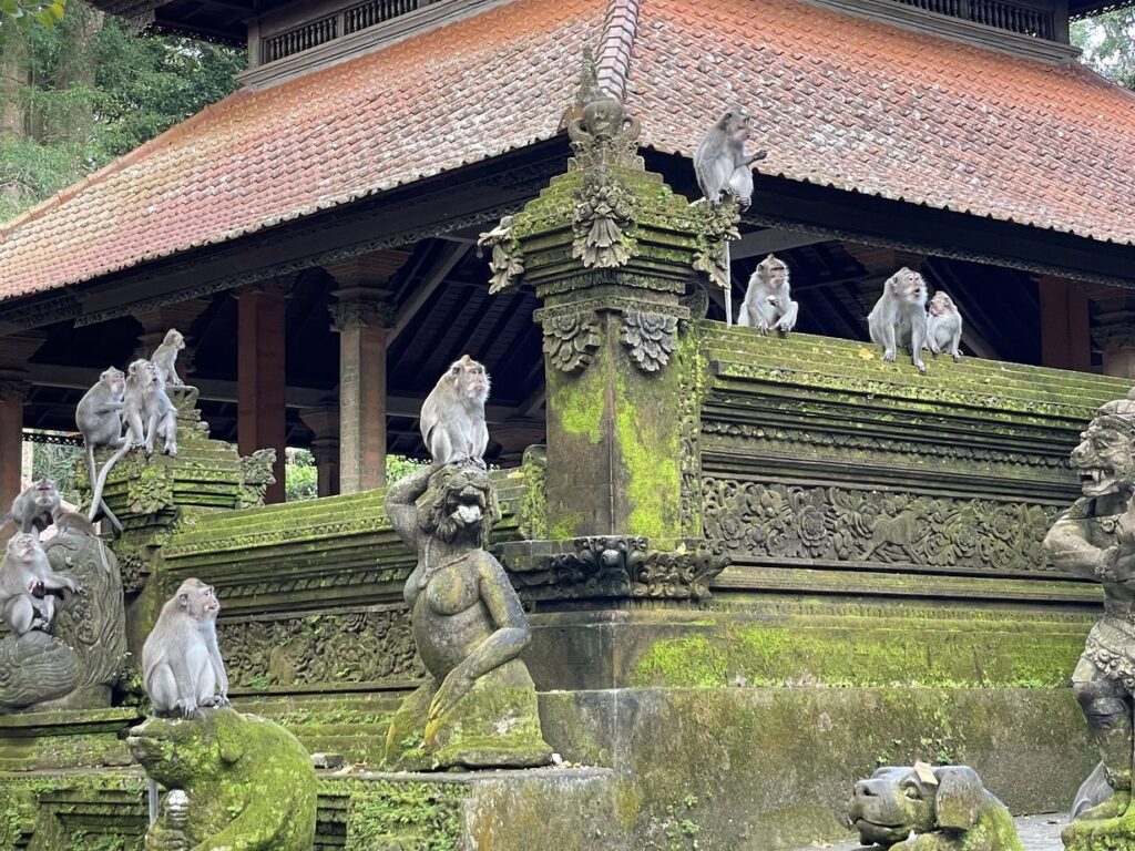 איפה לישון באובוד Sacred Monkey Forest Sanctuary, מקדש מכוסה טחב וקופי המקוק שבו, אובוד