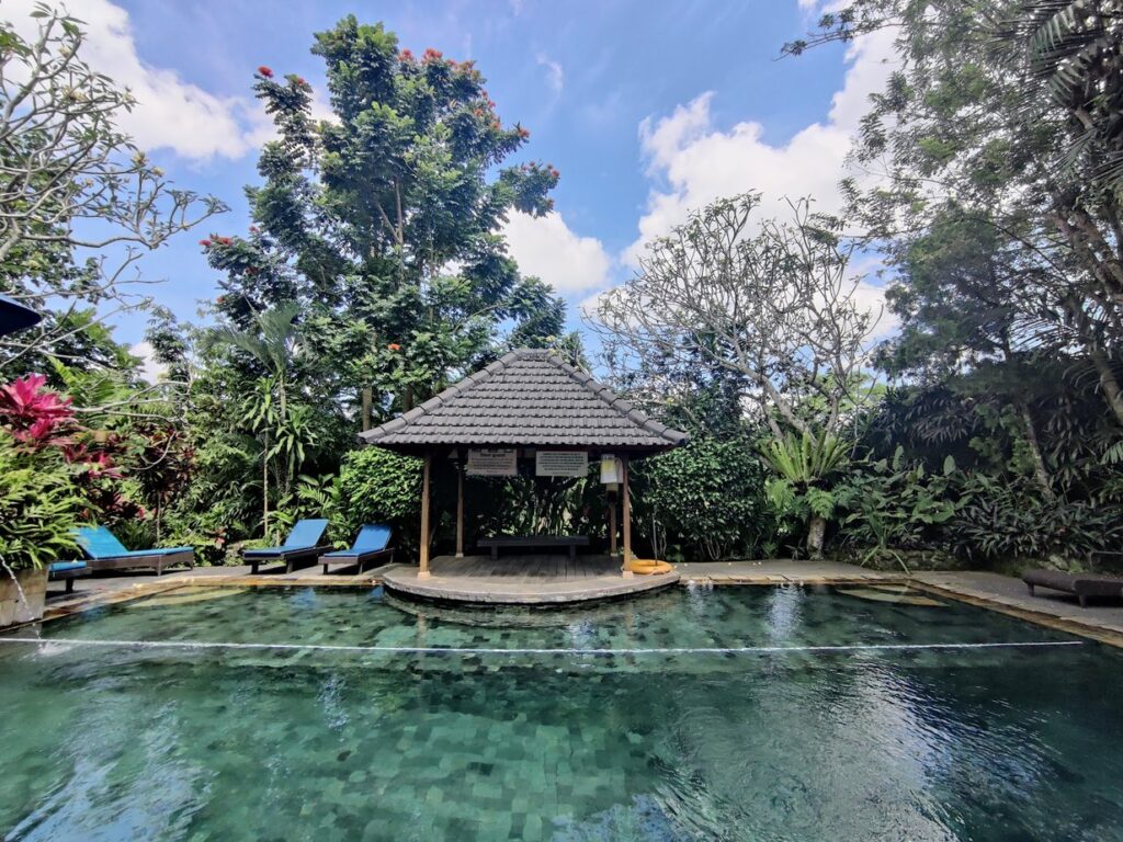 איפה לישון באובוד Tegal Sari Accommodation, הבריכה והביתן שלה בגן, אובוד