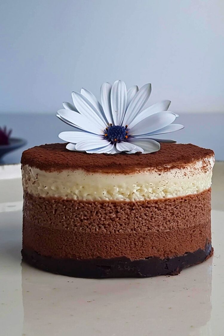 Gâteau mousse au chocolat vegan à 3 couches (sans gluten) - En-tete