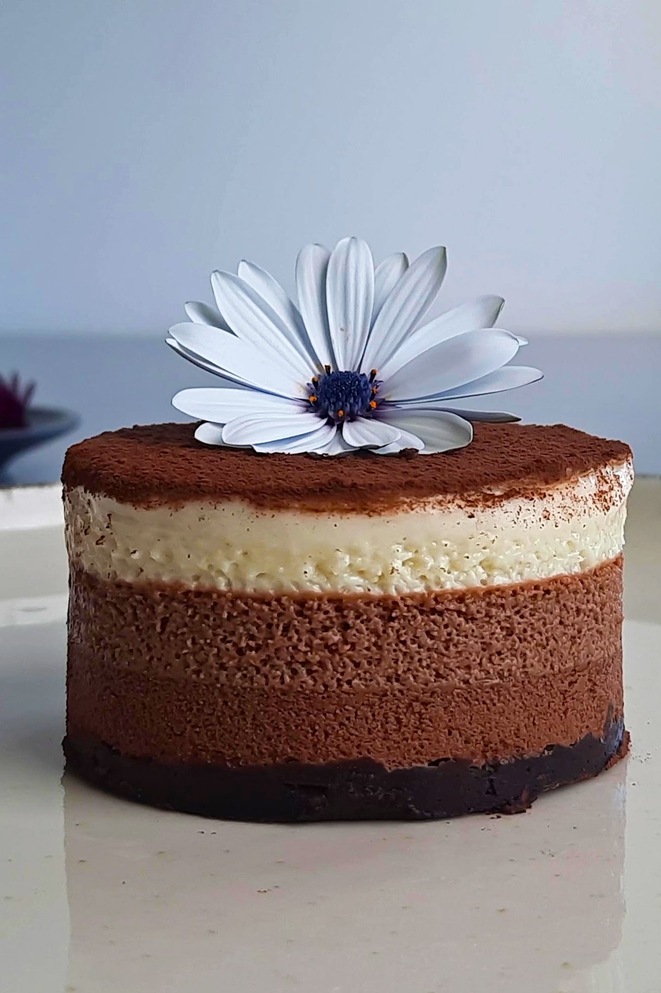 Gâteau mousse au chocolat vegan