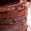 Génoise au chocolat montée à la crème végétale et à la ganache.