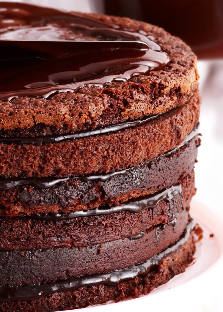 Génoise au chocolat montée à la crème végétale et à la ganache.